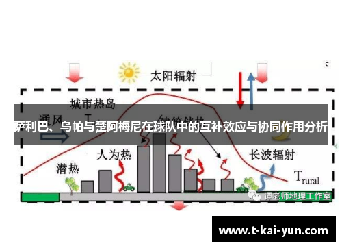 萨利巴、乌帕与楚阿梅尼在球队中的互补效应与协同作用分析