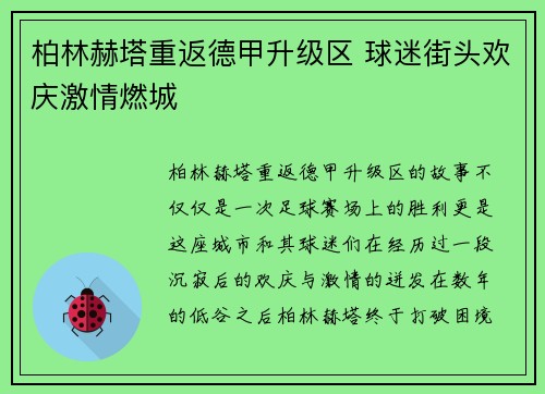 柏林赫塔重返德甲升级区 球迷街头欢庆激情燃城