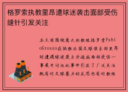 格罗索执教里昂遭球迷袭击面部受伤缝针引发关注